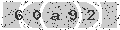 verify code